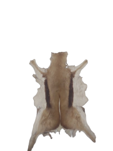 20240118_122557-removebg-preview