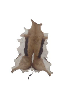 20240118_122601-removebg-preview