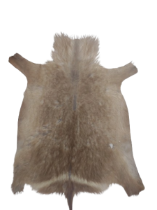 20240118_122747-removebg-preview