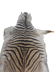 20240118_122848-removebg-preview