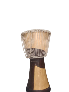 20240118_123311-removebg-preview