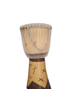 20240118_123322-removebg-preview