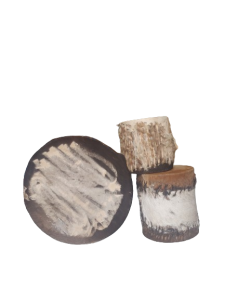 20240118_123442-removebg-preview