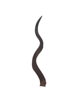 20240118_123908-removebg-preview