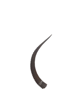 20240118_123929-removebg-preview