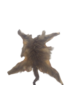 20240118_124009-removebg-preview