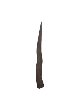 20240118_124017-removebg-preview