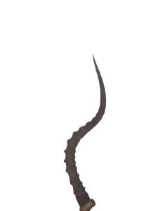 20240118_124024-removebg-preview