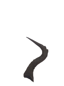 20240118_124032-removebg-preview