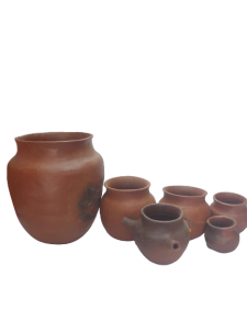 20240118_124455-removebg-preview