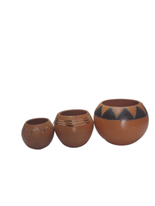 20240118_124631-removebg-preview