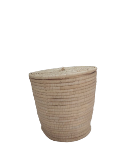 20240118_124759-removebg-preview