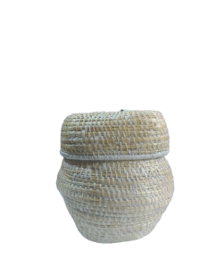 20240118_125012-removebg-preview