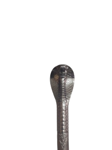 20240118_125312-removebg-preview