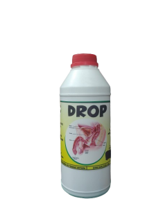 20240118_125502-removebg-preview