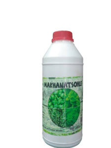 20240118_125604-removebg-preview