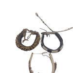 20240118_131417-removebg-preview