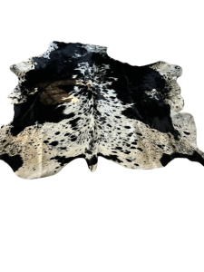 IMG-20240118-WA0036-removebg-preview