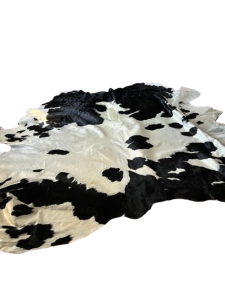 IMG-20240118-WA0039-removebg-preview